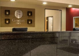 Comfort Inn Birch Run - Frankenmuth 4