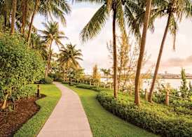 Hilton Miami Airport Blue Lagoon 5