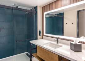 Hilton Phoenix Resort at the Peak 5