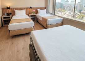 Hotel Terrado Lyon 5