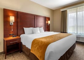 Comfort Suites Kyle 4