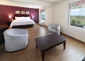 Holiday Inn REYNOSA-INDUSTRIAL PONIENTE by IHG 5