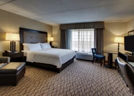 Holiday Inn Express BALTIMORE-BWI AIRPORT WEST by IHG 5