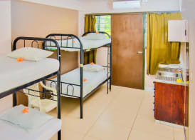Bamboo Backpackers 3