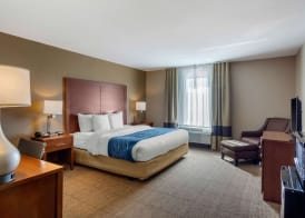 Comfort Inn South Chesterfield - Colonial Heights 3