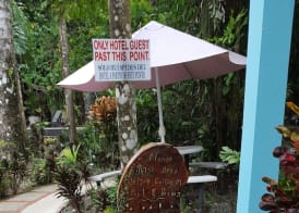 La Posada Jungle Hotel 3