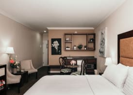 Holiday Inn DURANGO by IHG 4