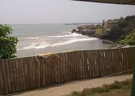 Rising Phoenix Magic Beach Resort 4