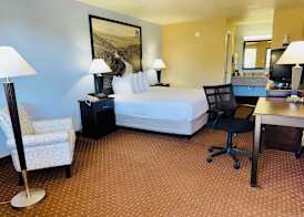 Hill Country Inn & Suites - New Braunfels / Gruene 3