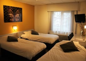 Hotel de Jonge Heertjes 5