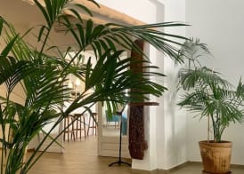 Hotel Tagomago 3