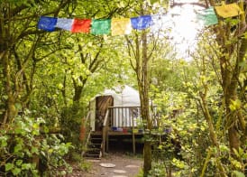Larkhill Tipis and Yurts 5