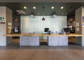 Ibis Queretaro 2
