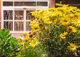 Hilton Garden Inn Bangor 4