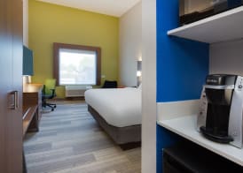 Holiday Inn Express & Suites TAMPA-FAIRGROUNDS-CASINO by IHG 5