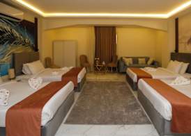 Pyramids Palace inn With Rooftop Access & free airport pickup 4