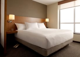 Hyatt Place Atlanta Downtown 5