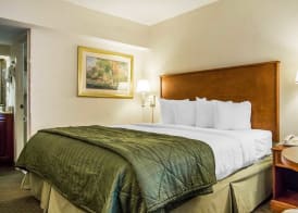 Quality Inn Savannah Historic District 5