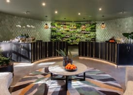 Thaba Eco Hotel 2