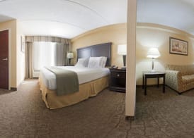 Holiday Inn Express & Suites DALLAS FT. WORTH AIRPORT SOUTH by IHG 3