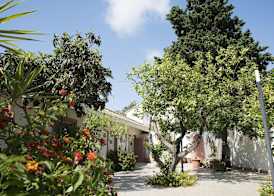 L'Albero 3