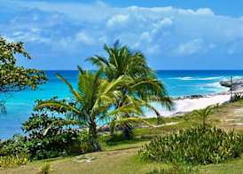Surfers Bay 4
