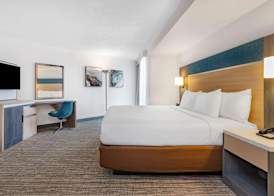 Wyndham Orlando Resort & Conference Center, Celebration Area 5