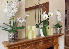 Carlton House Guesthouse 5