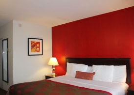 Metro Inn Calgary Northwest 5