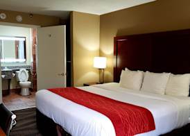 Comfort Inn Pensacola - University Area 4