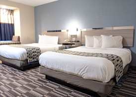 Microtel Inn Georgetown - Lexington North 4