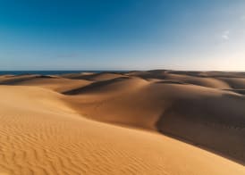 Circuit Beautés Sauvages de Grande Canarie Club Jumbo Hôtel Mogan Princess et Beach Club 2
