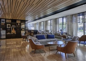 Pullman Vina del Mar San Martin 2