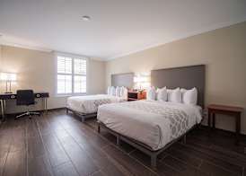 Equus Inn I75 3