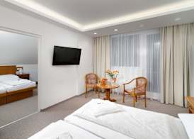 Wellness Hotel Astra 2