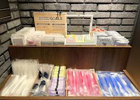 Hotel Resol Akihabara 2