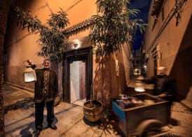 Riad Dar Habiba by Garden Wonders 5