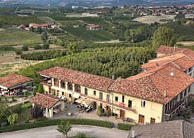 Il Vigneto 3