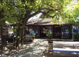 Oceans 5 Dive Resort 3