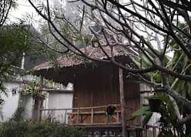 Nusha Homestay 5