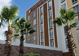 Hilton Garden Inn Tampa - Wesley Chapel 3