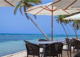 Tribe Resorts 5