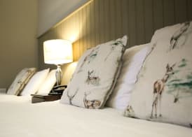 Mulroy Woods Hotel 5