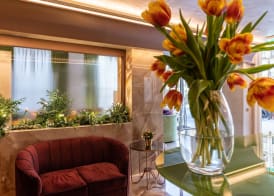 Hotel Ariston 5