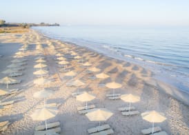 Horizon Beach Resort 5