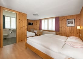 Hotel Alpina 5