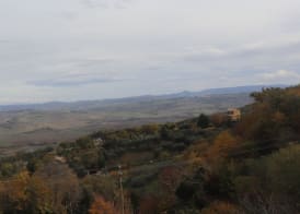 Azienda Agraria La Casella 4