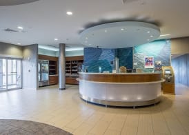 SpringHill Suites Tampa North/Tampa Palms 2