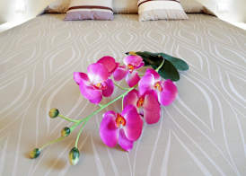 Hotel Alex 3