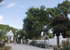 Green Olive Guesthouse 2